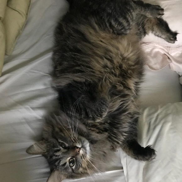 Meet your Posher, K! - Picture 4 of 7